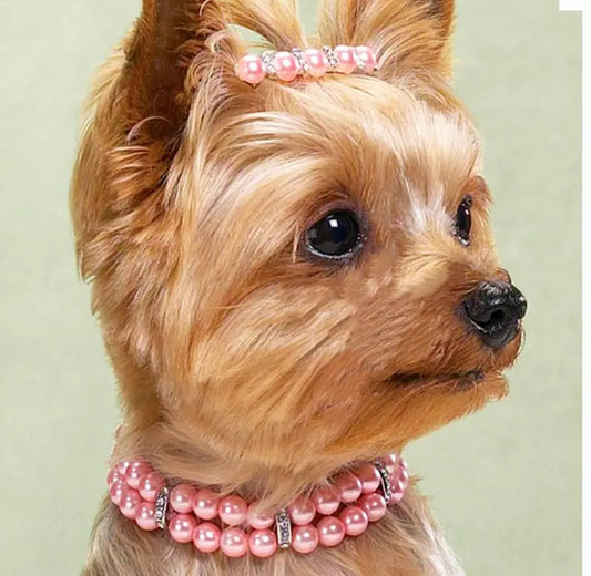 Princess Pearl Dog Collar