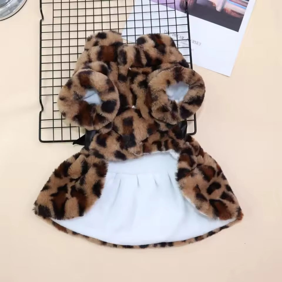 premium dog coat for fall and winter
