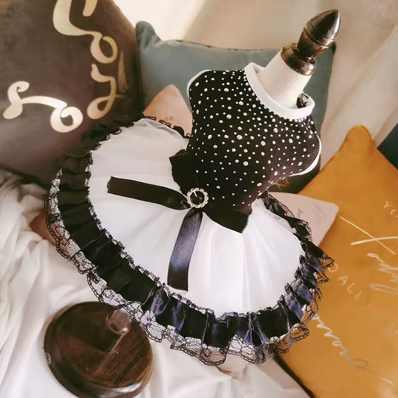 elegant dog dress black white design