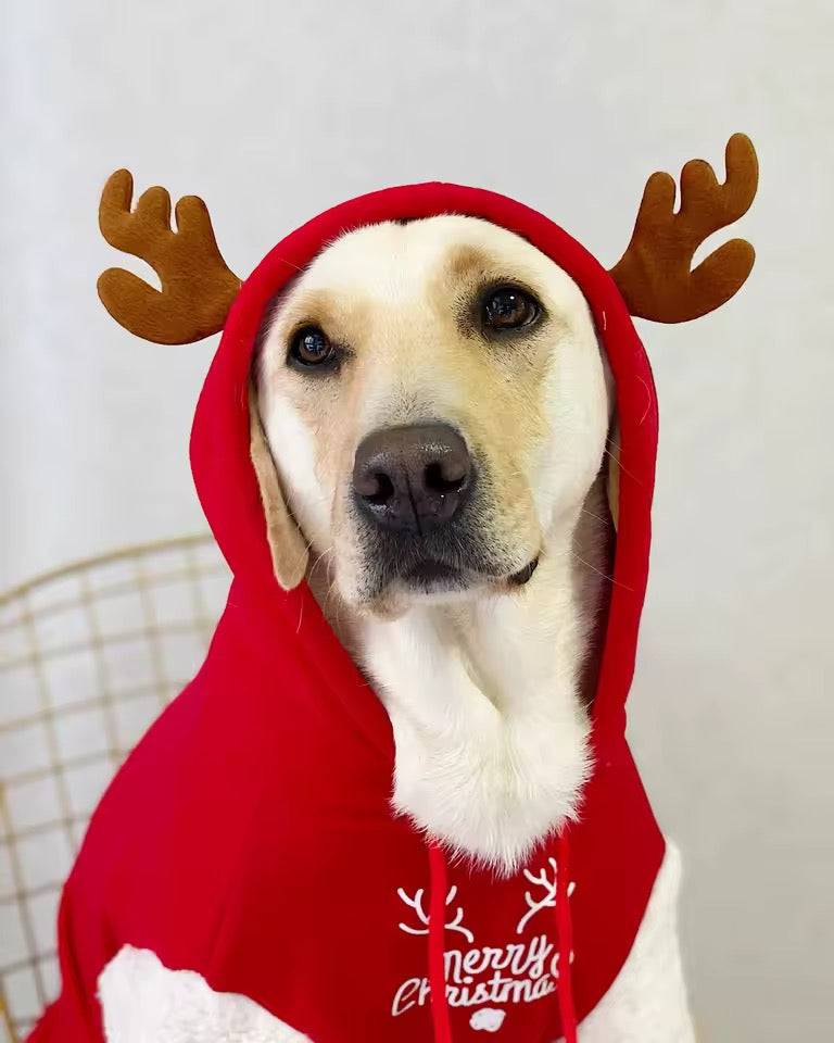 Merry Christmas Reindeer Dog Hoodie – Cozy Red & White Holiday Sweater