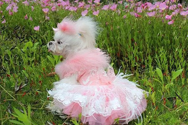 Feather Tutu Dress