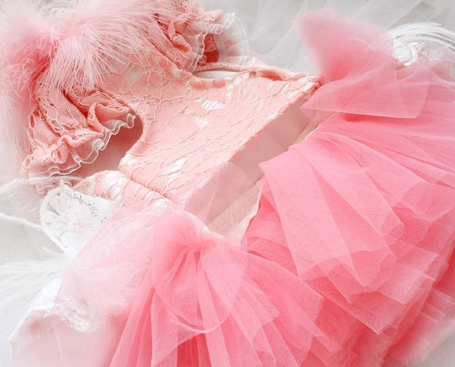 Feather Tutu Dress