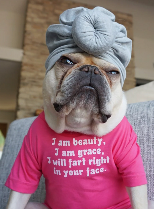 I Am Beauty I Am Grace I Will Fart Right In Your Face Tee - Pink
