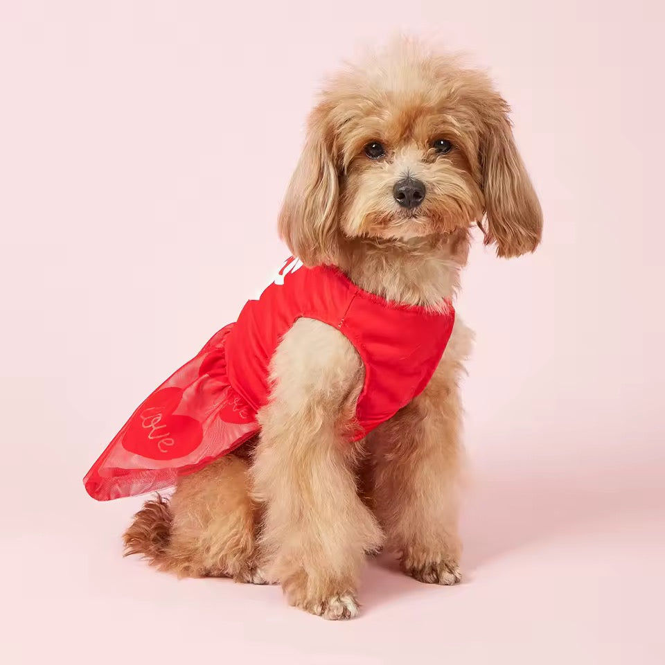 25 cent kisses valentine dog dress red heart puppy outfit doggy haute couture
