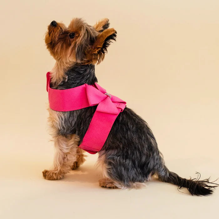 Pink Rhinestone harness and leash