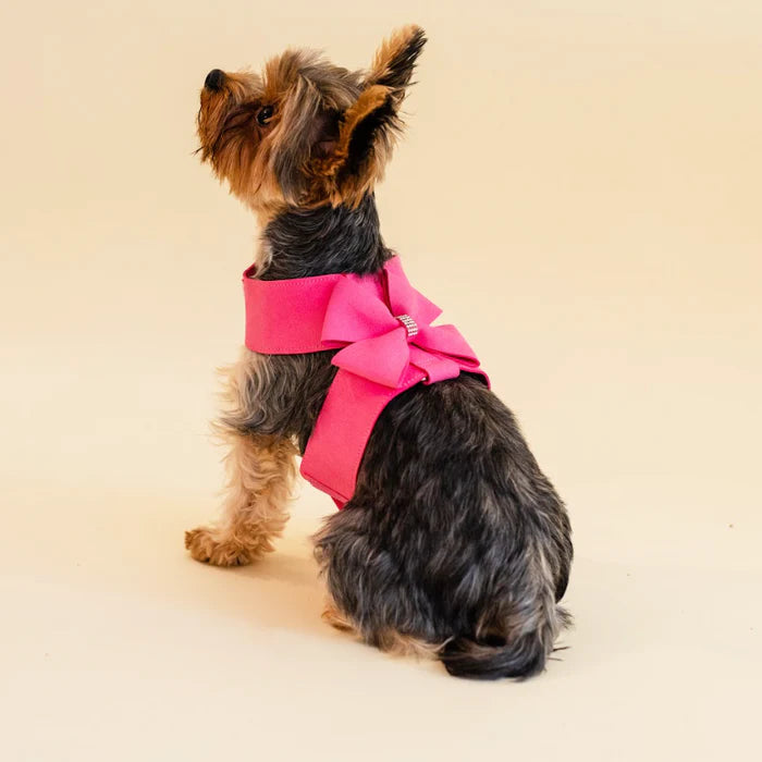 Pink Rhinestone harness and leash