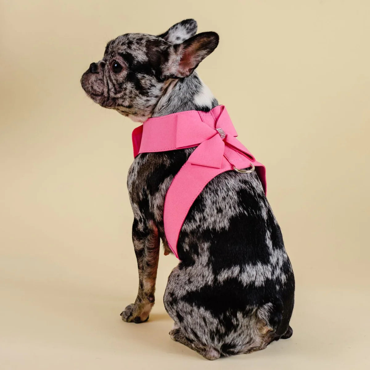 Pink Rhinestone harness and leash