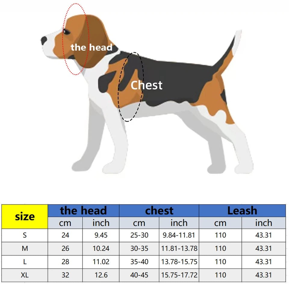 Chewy Vuittawn Harness and Leash