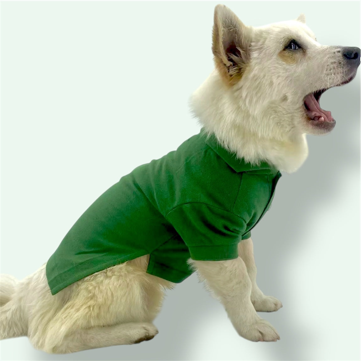 Green cotton shirt