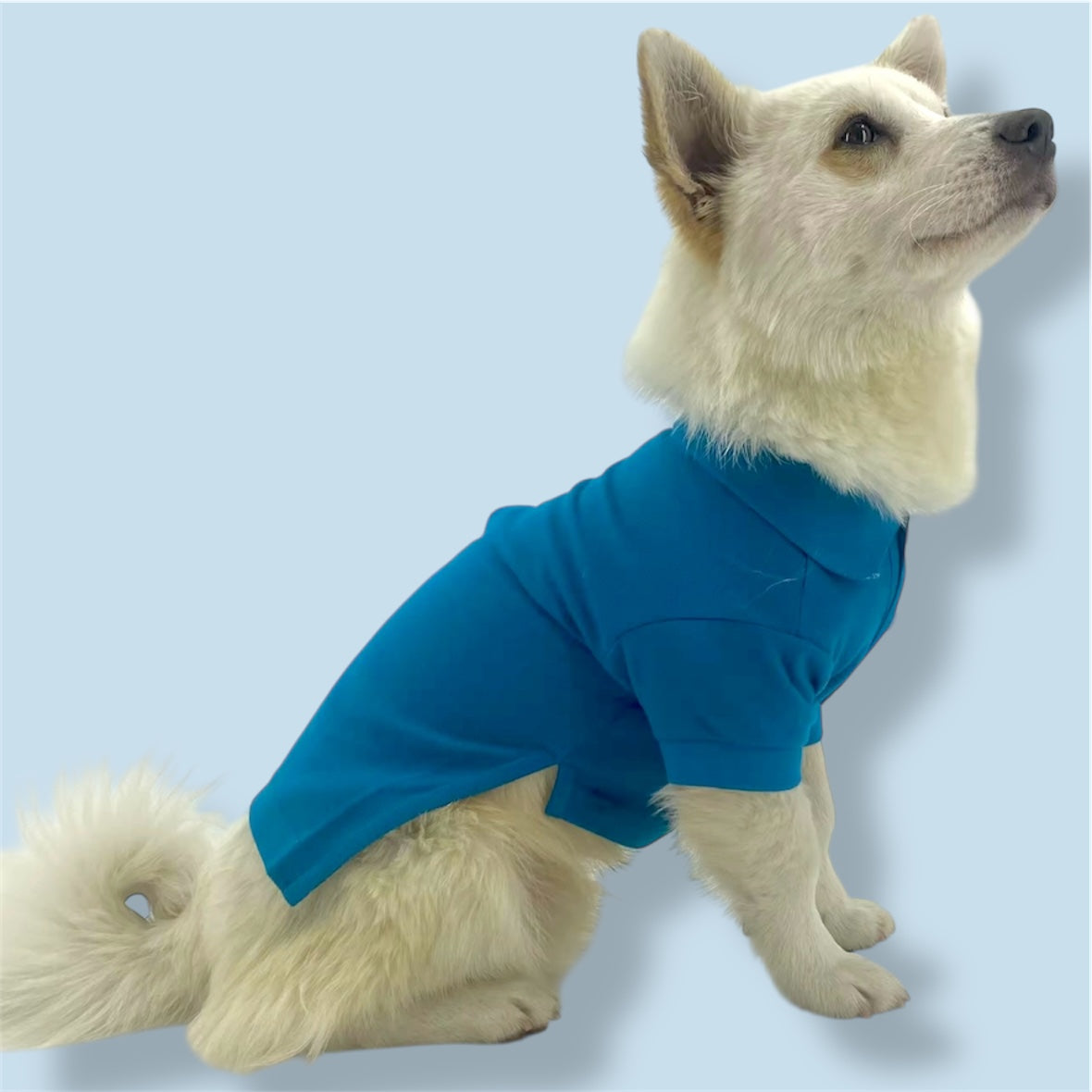 Dark teal cotton shirt