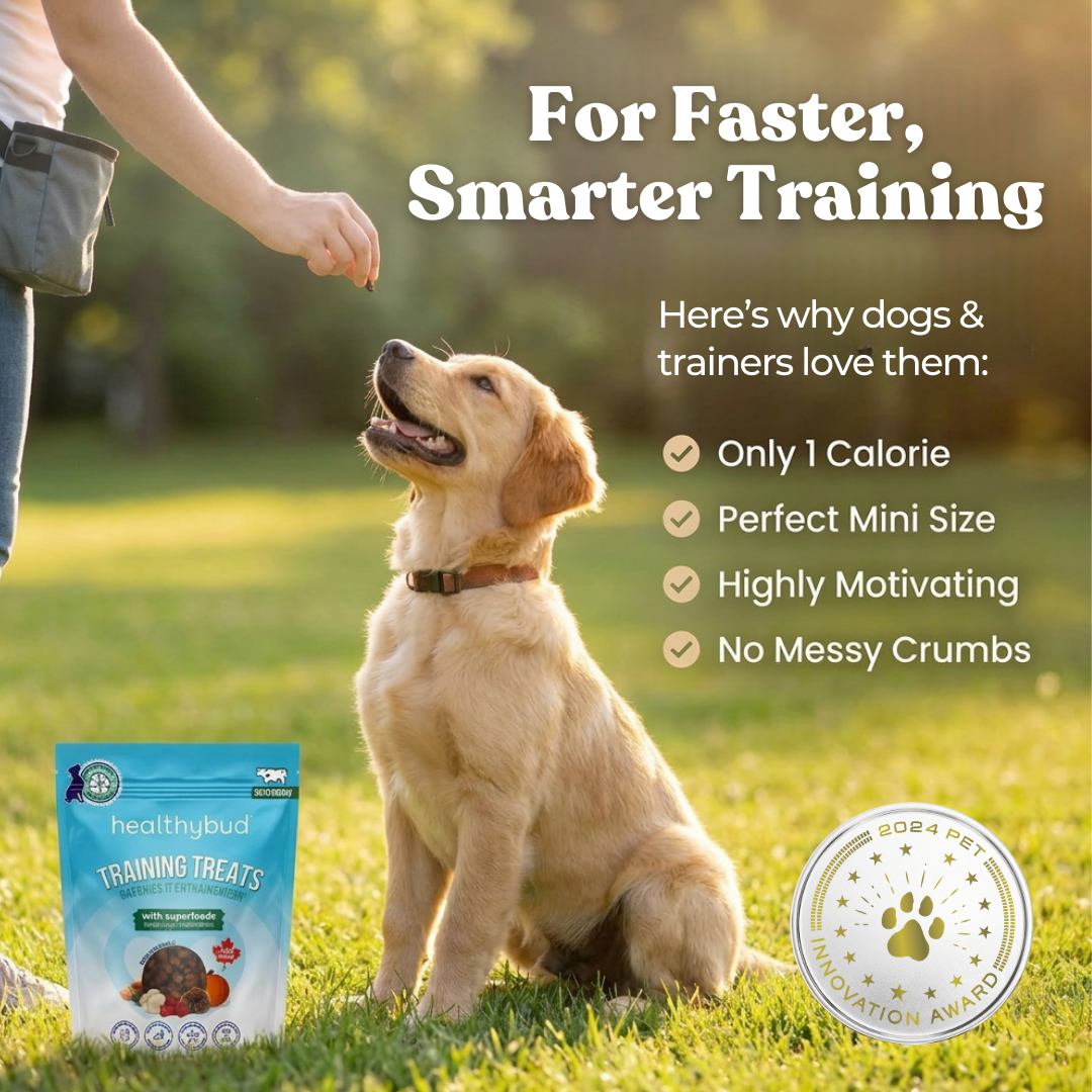 Beef Mini Training Treats