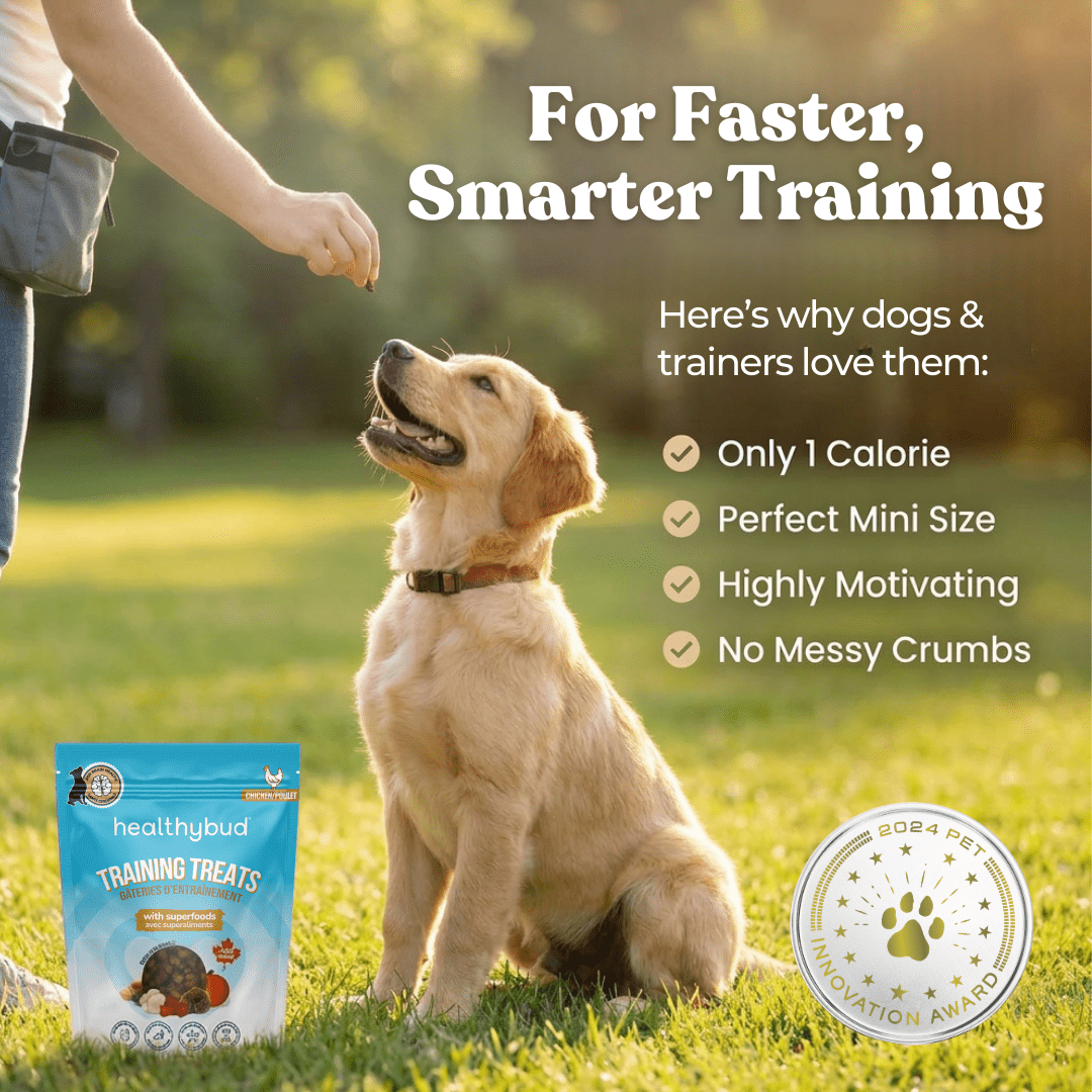 Chicken Mini Training Treats