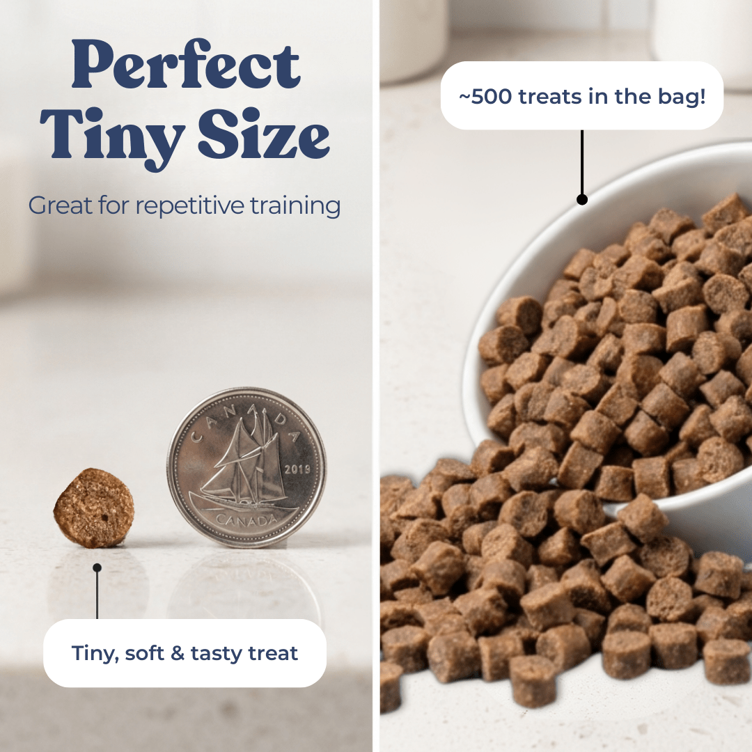 Beef Mini Training Treats