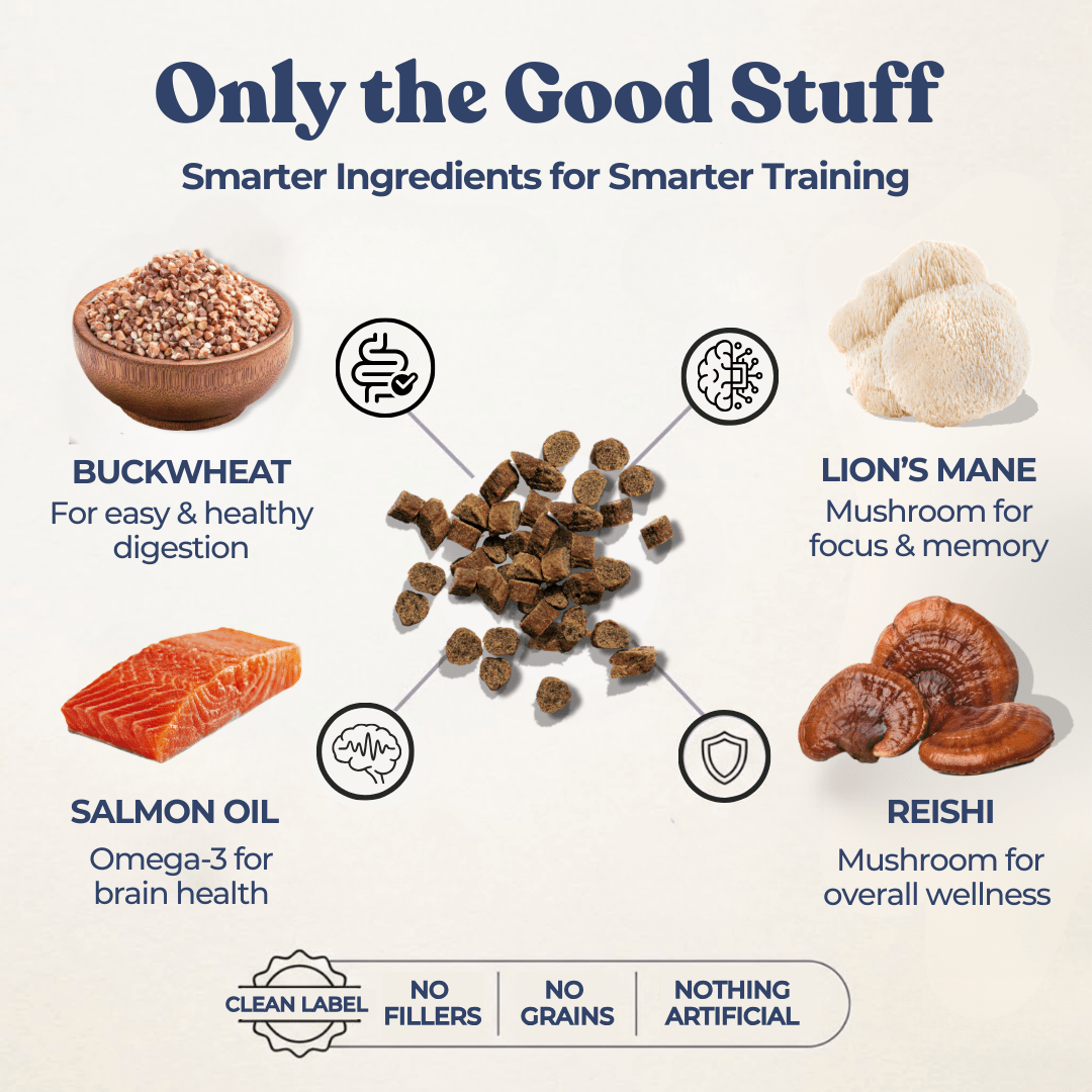 Salmon Mini Training Treats