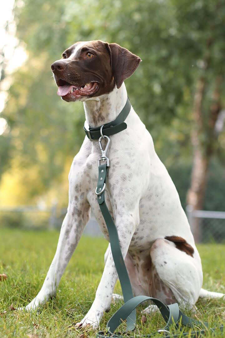 Waterproof Dog Leash