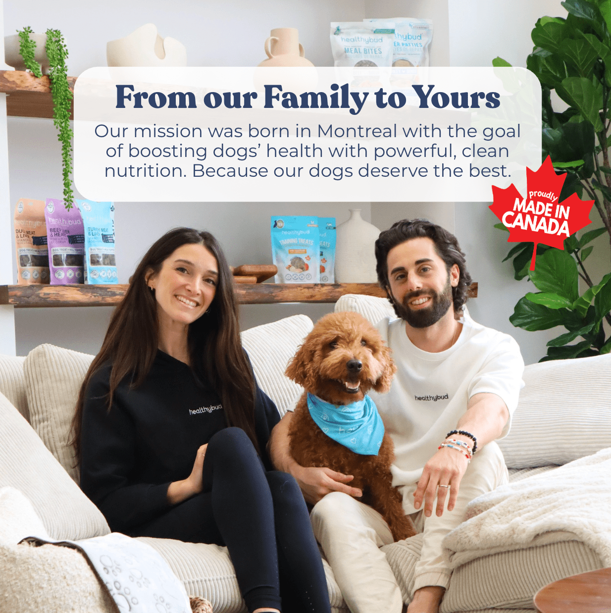 Chicken Mini Training Treats