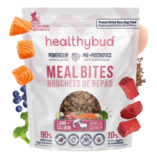 Lamb + Salmon Meal Bites