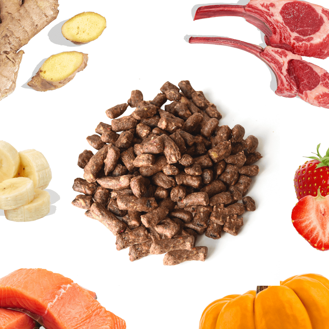 Lamb + Salmon Meal Bites