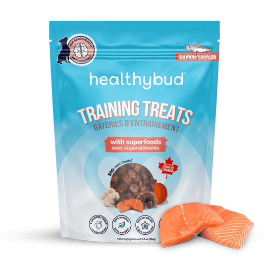 Salmon Mini Training Treats